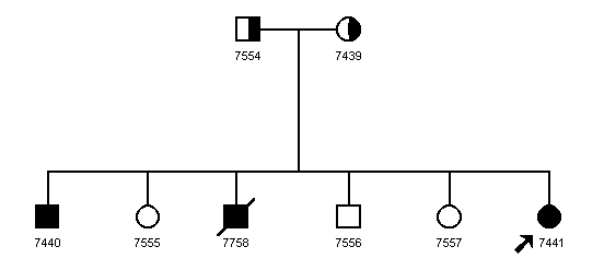 Pedigree 1047