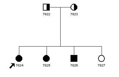 Pedigree 1078