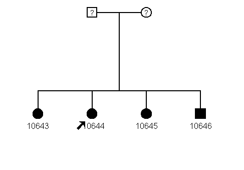 Pedigree 1241