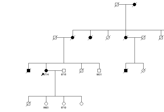 Pedigree 1290