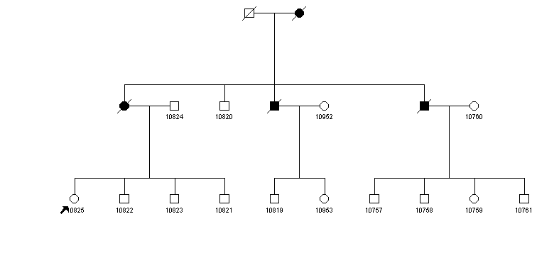 Pedigree 1347