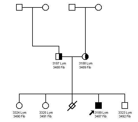 Pedigree 516