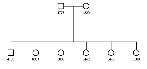 Pedigree 690a