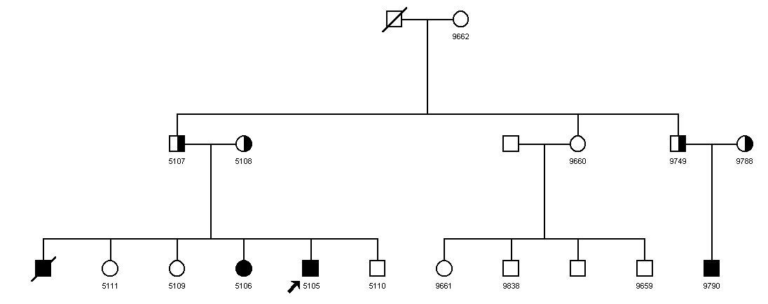 Pedigree 816