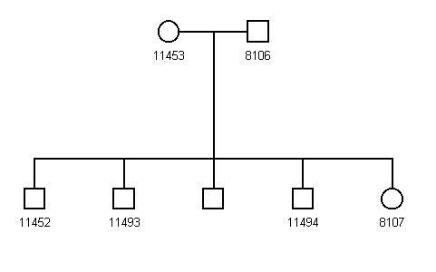 Pedigree 95E