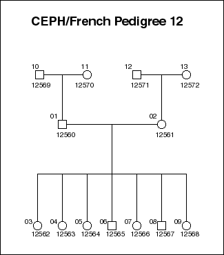 Pedigree