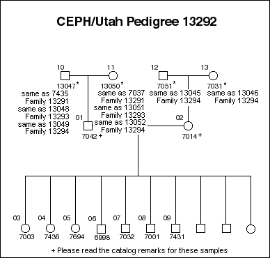 Pedigree