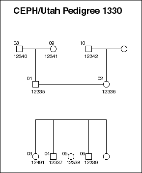 Pedigree