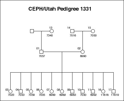 Pedigree