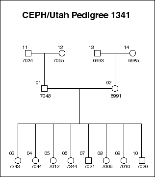 Pedigree