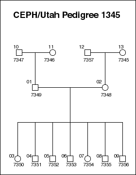 Pedigree