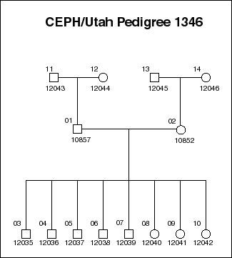 Pedigree