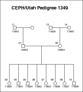 Pedigree