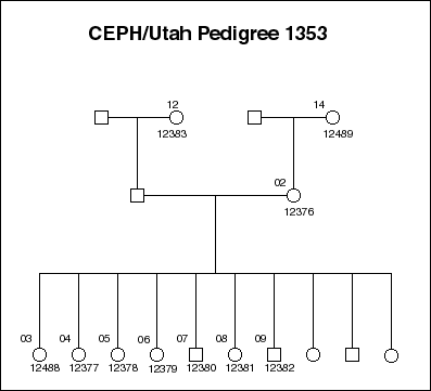 Pedigree