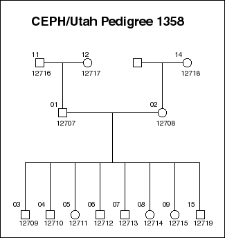 Pedigree