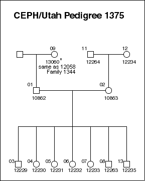 Pedigree