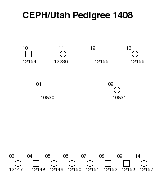 Pedigree