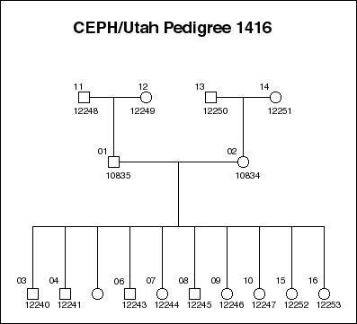 Pedigree