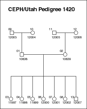 Pedigree