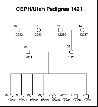 Pedigree