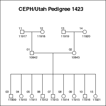 Pedigree