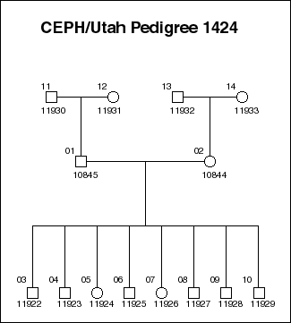 Pedigree