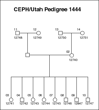 Pedigree