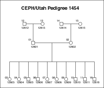 Pedigree