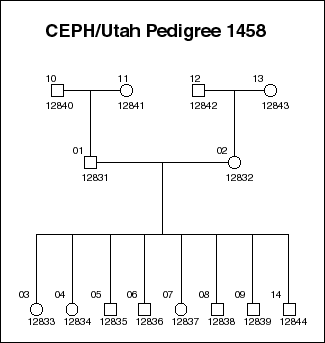 Pedigree