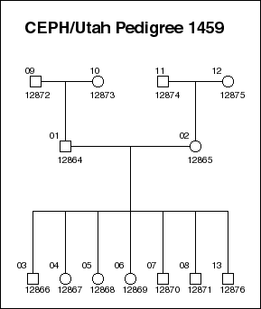 Pedigree