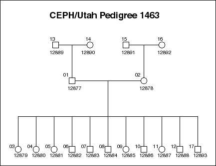 Pedigree