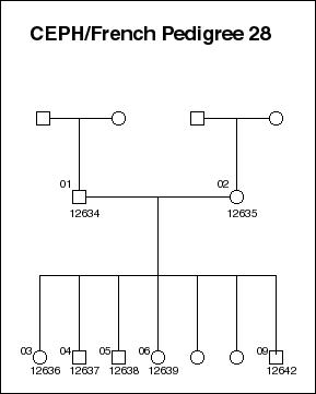 Pedigree