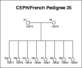 Pedigree