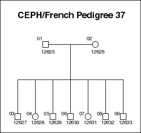 Pedigree