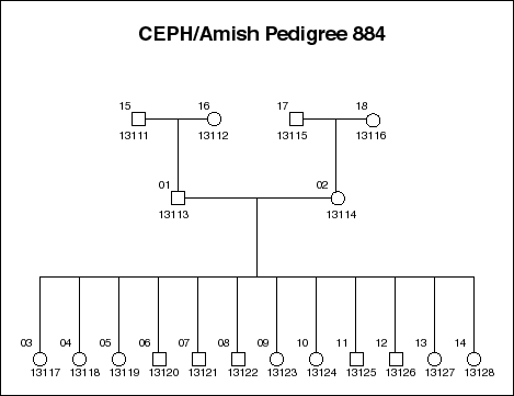 Pedigree