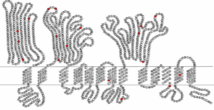 NPC1 Mutations