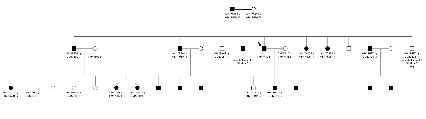 Osteogenesis Imperfecta in the Old Order Amish - Sibship A