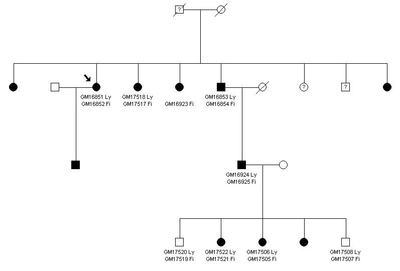 NIGMS Collection - Osteogenesis Imperfecta in the Old Order Amish - Sibship D