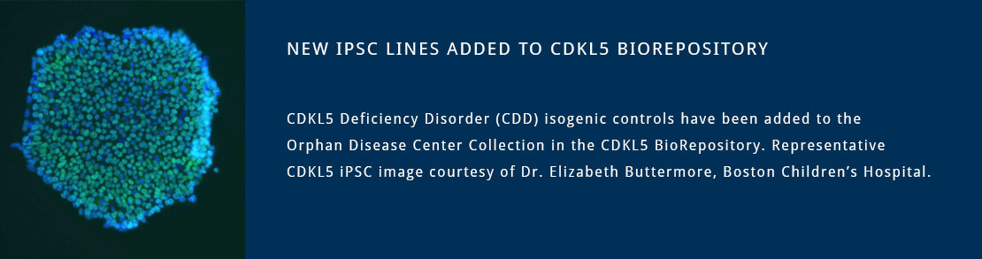 New CDLK5 iPSCs