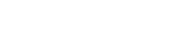 Allen Institute Website